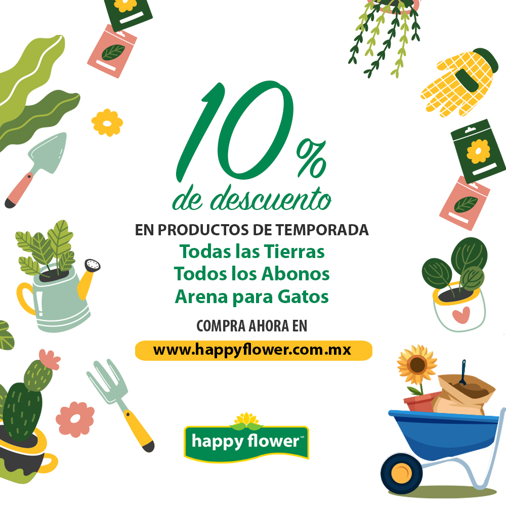 happyflowermex's tweet photo. El mes de Julio llego con el 10% de descuento en productos de temporada. Aprovecha el envío gratis en CDMX en compras mayores a $500. ¿Qué estás esperando?
Compra ahora en https://t.co/oLyGgcRgAN
#verano #summer #huertourbano #minihuerto #huerto #semillas #semillasparasiembra https://t.co/PgzwEjQJP1
