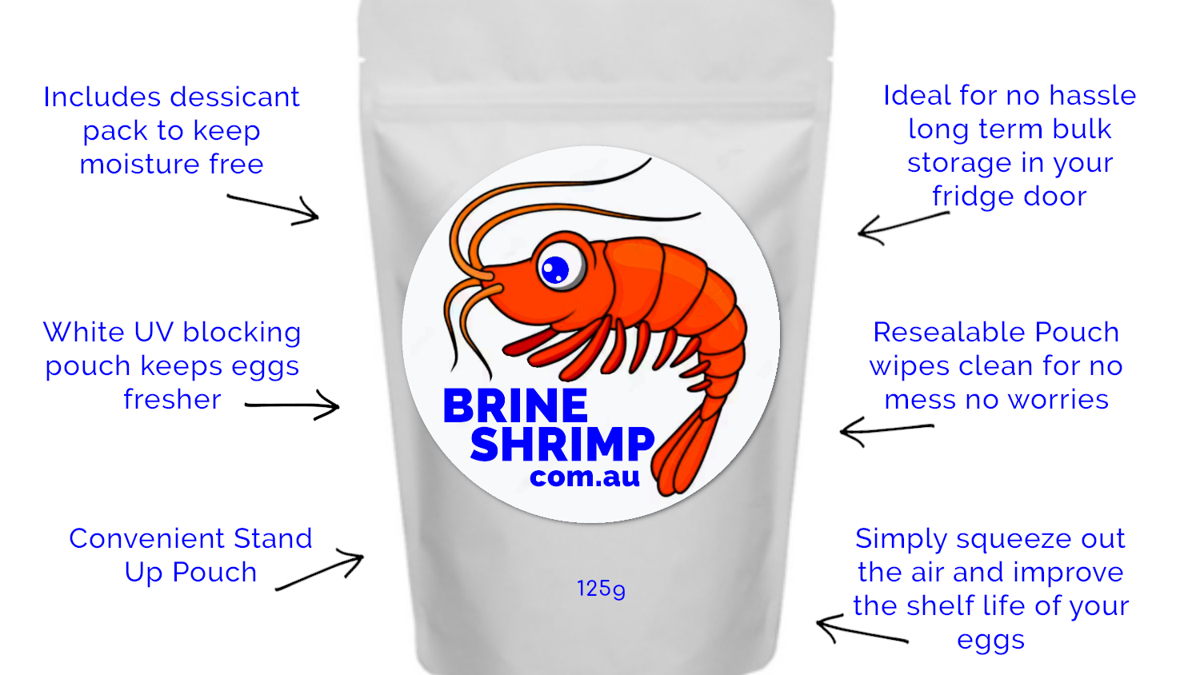 brineshrimp_'s tweet image. Did you know that brine shrimp eggs can be a valuable source of nutrition for your pond fish? Keep your finned friends happy and healthy by incorporating brine shrimp eggs into their diet. Get yours from [Business Name] today! #pondfish #koi #goldfish #brineshrimpeggs #fishpond