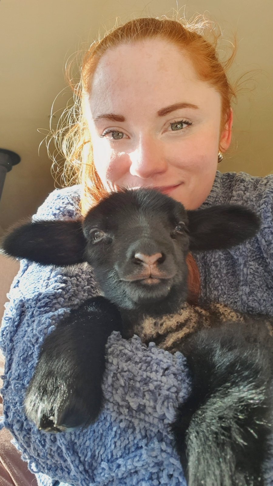 🌼𝙇𝙤𝙫𝙚 𝘼𝙢𝙮 𝙋𝙤𝙣𝙙 😜 😇 on Twitter: "Spam you with sheep pictures, don't mind if I do 💗 Thank you B