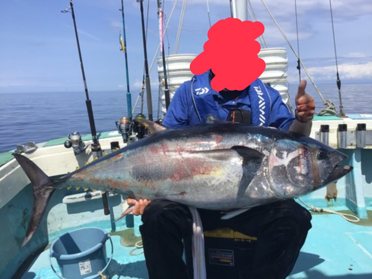 KatsuwoI's tweet photo. クロマグロの今月の採捕禁止が決まりました
遊漁船は仕事が無くなるというのに何故こんなザルな重さを載せる？　
この3匹90.90.80kgと新潟の遊漁船が載せてる
は？コレで90?
4枚目正真正銘の85kg
ソレを鵜呑みにして釣人が申請したら？

プロ意識低すぎんか？

重さ長さは釣人の心の拠り所トロフィーや https://t.co/lxVvqHPwYk