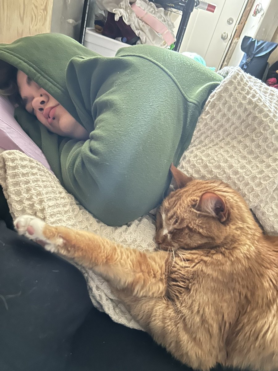 napalmcereal's tweet photo. Orange tabby is Howard, brown tabby is Charlie. They're both 16 and absolute sweethearts. https://t.co/zQRmcBmr6O