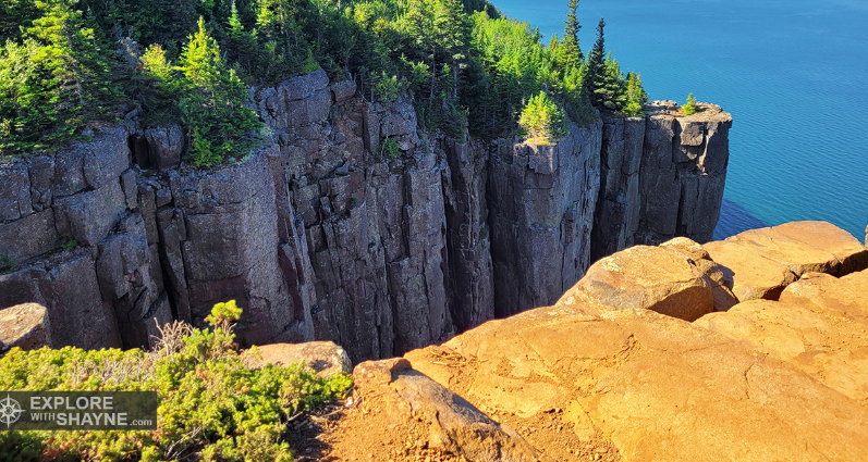 Michael vicente - Orb tweet media