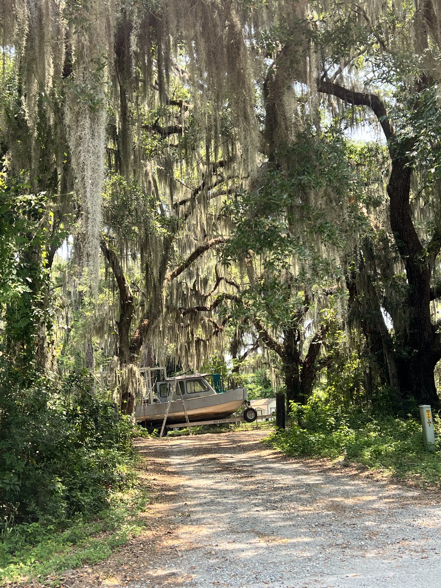 USrental's tweet photo. GA Low Country https://t.co/4rENND6g9o