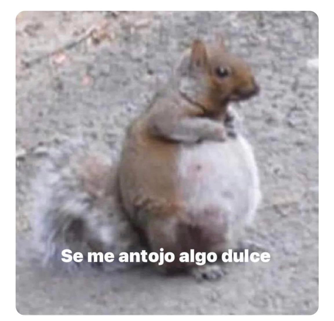 CafecitoMiris's tweet photo. Yo después de comer jajaja se antoja ir a  “El cafecito de Miris” los esperamos 😋🩷 https://t.co/HNIJKhofxi