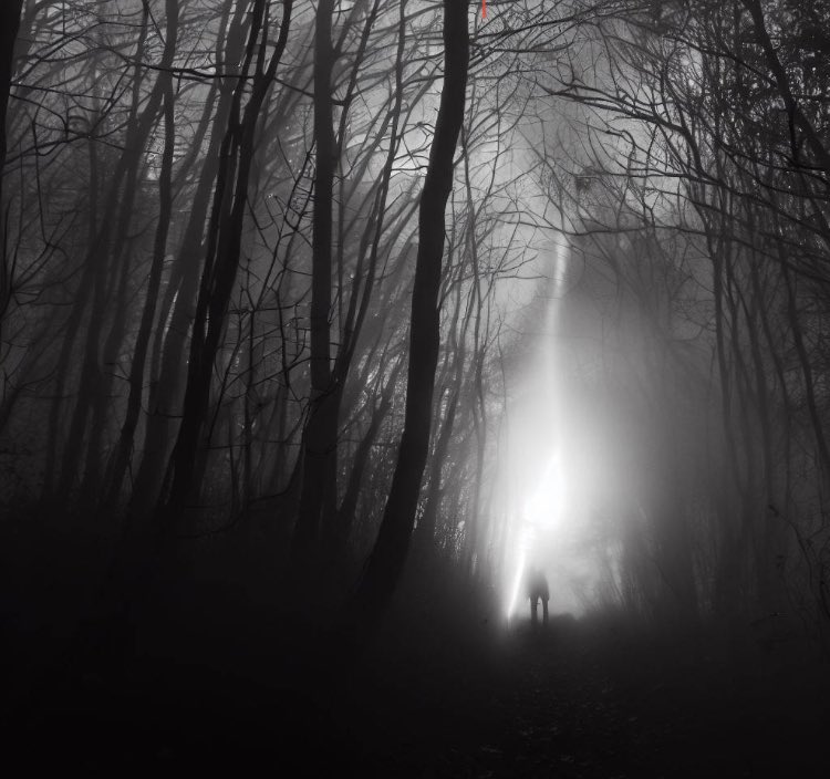 Here’s some more cellophane…this time black and white to go along with the original colored ones! #EmbraceTheUnknown #ForestJourney #InnerStrength #NatureTherapy #FindingCourage

black mist and white iridescent cellophane sunlight looking through the forest trail facing my fears