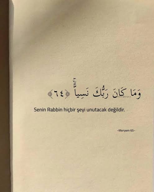 ERDIBALIBEY's tweet photo. 🔹"Senin Rabbin hiçbir şeyi unutacak değildir."

📚 Meryem Suresi / 64 https://t.co/WNRfjdaEXP