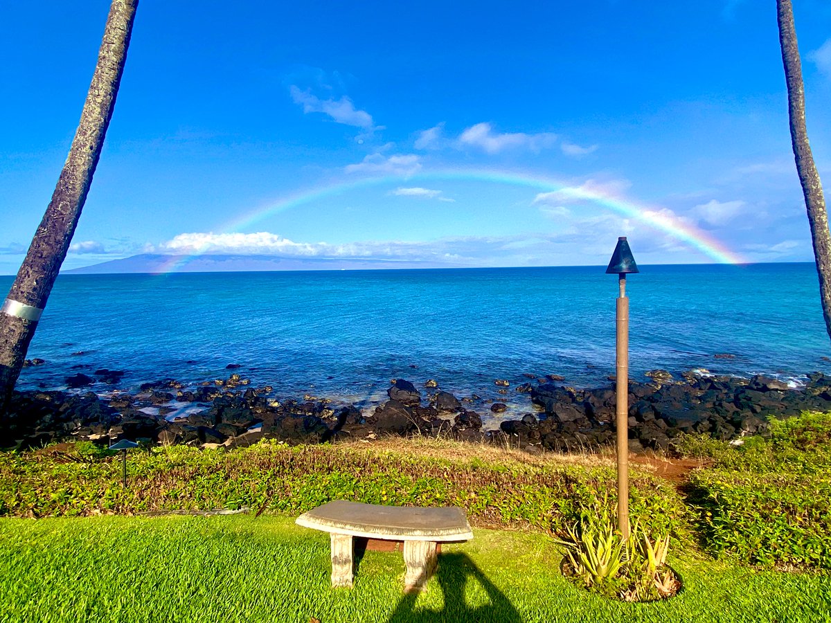 CaseyAPratt's tweet photo. #ViewsFromTheBench https://t.co/OQh8SIUUQP