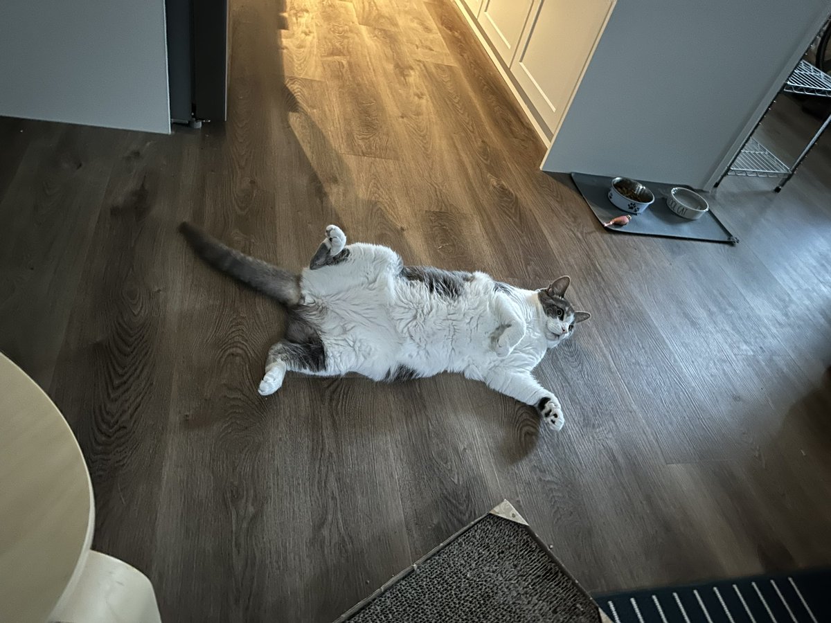 Matthew Froese (he/him) tweet media