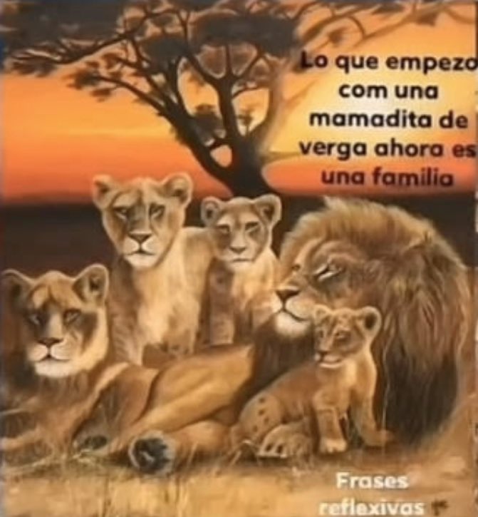 Vader Tercermundista (@vader91870633) on Twitter photo 