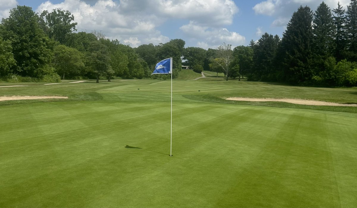 Matt Morelli 🇺🇸 tweet media