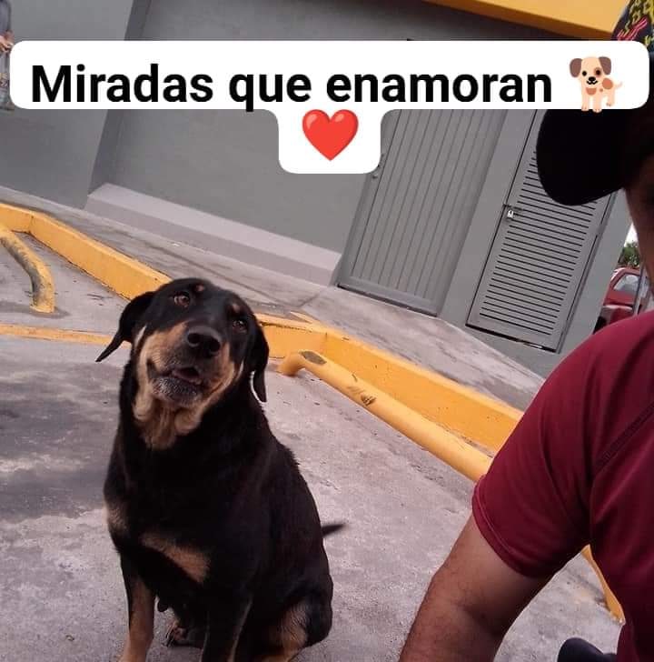 Buenas noches ❤️❤️😴❤️