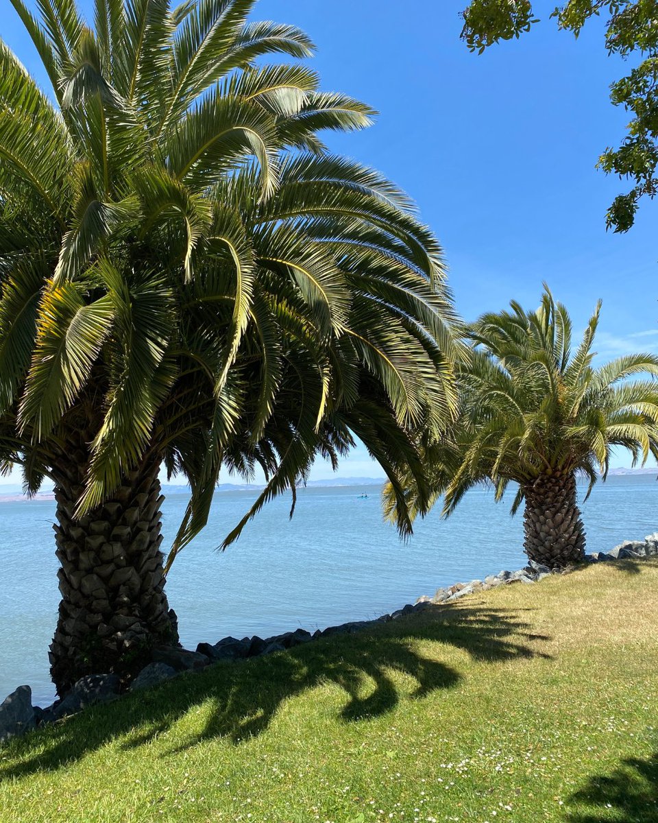 canalalliance's tweet photo. Marin County has made all parks free! Enjoy our beautiful outdoors at no cost, because nature should be accessible to everyone. Let's come together in these shared spaces and build stronger community ties. #MarinCounty #FreeParks https://t.co/mVjtrfrdvK