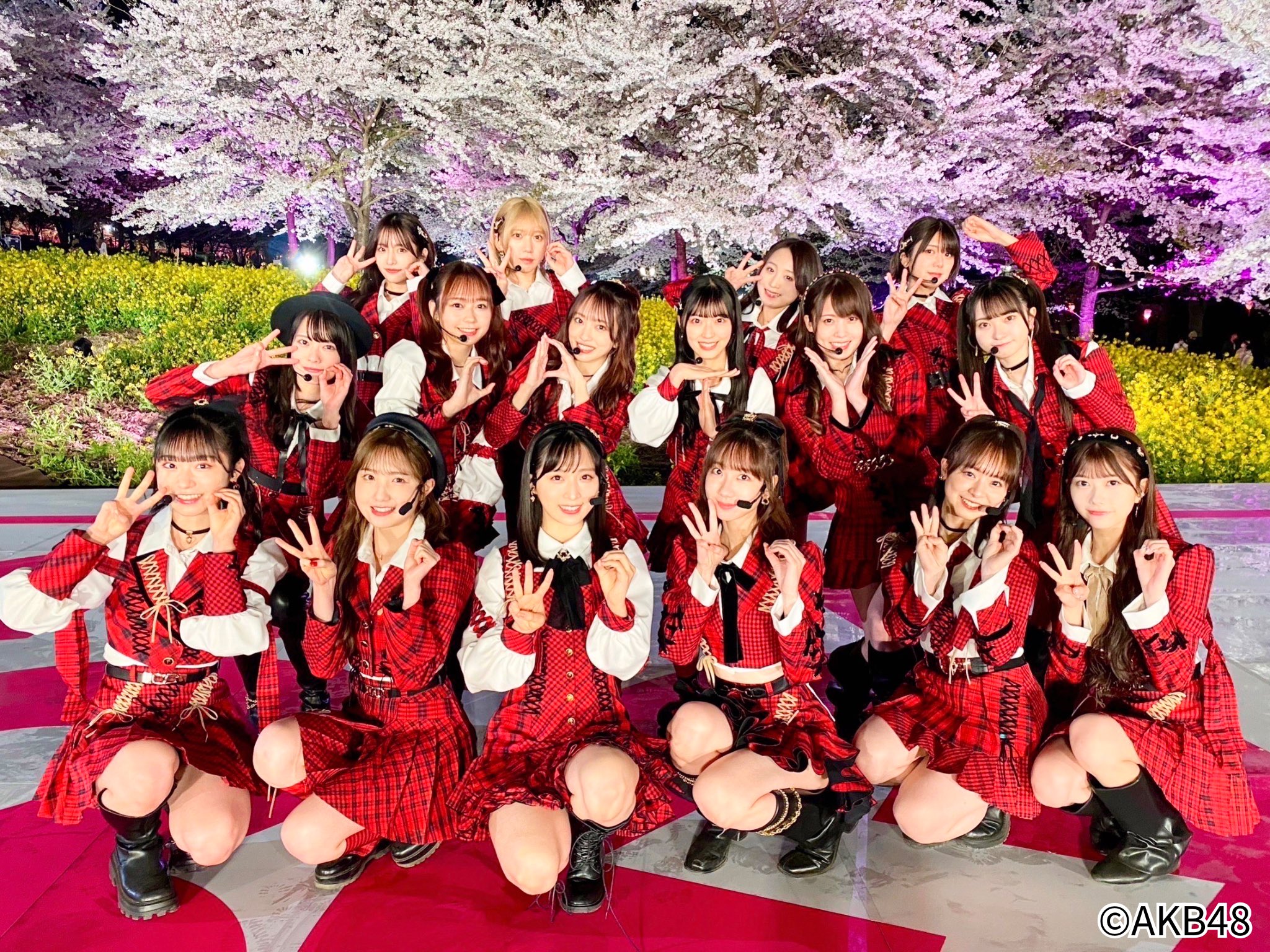 AKB48 大丸衣装ポーチ赤チェック