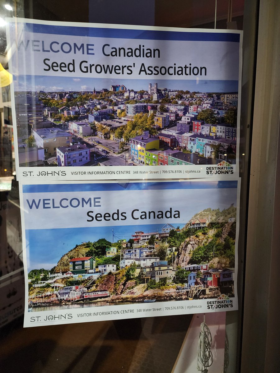 What a wonderful way to be welcomed by the local shops in beautiful St. John's! // Quelle belle manière d'être reçu par les boutiques locales dans la belle ville de St. John's ! 

#ChooseCertifiedSeed #ChoisirSemenceCertifiée #CdnAg