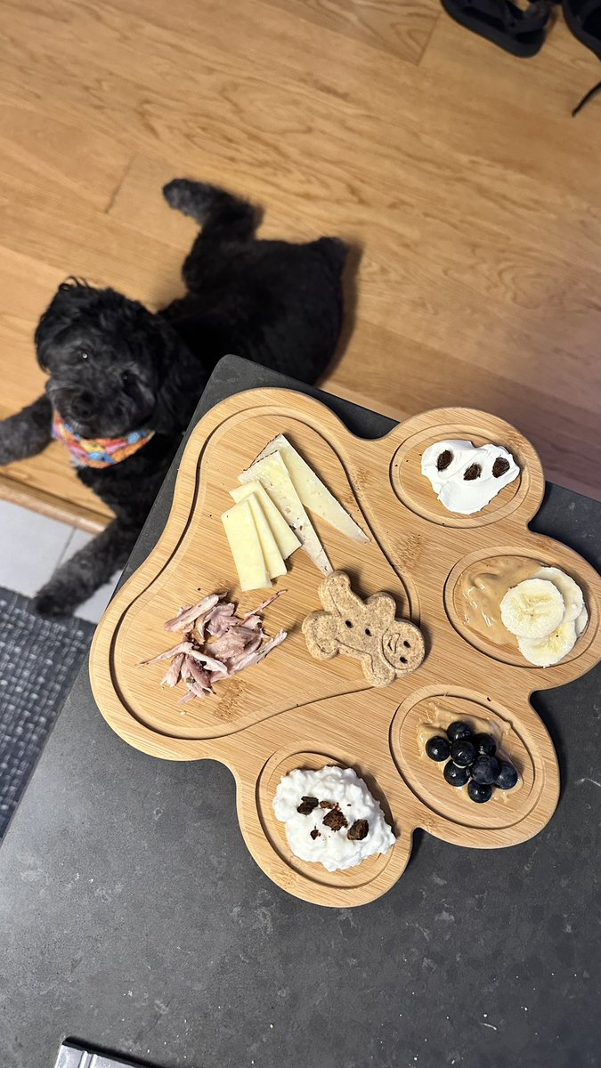 Patrick M Aprea tweet media