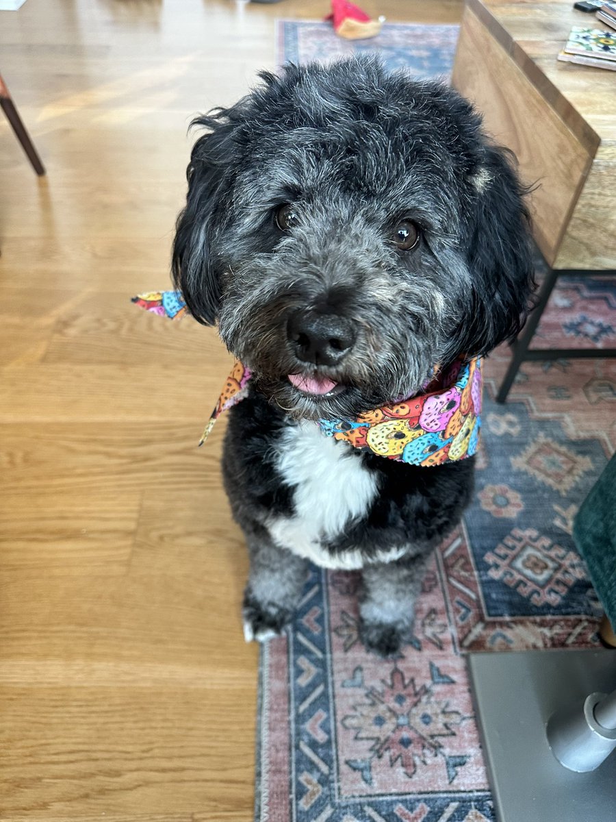 Patrick M Aprea tweet media