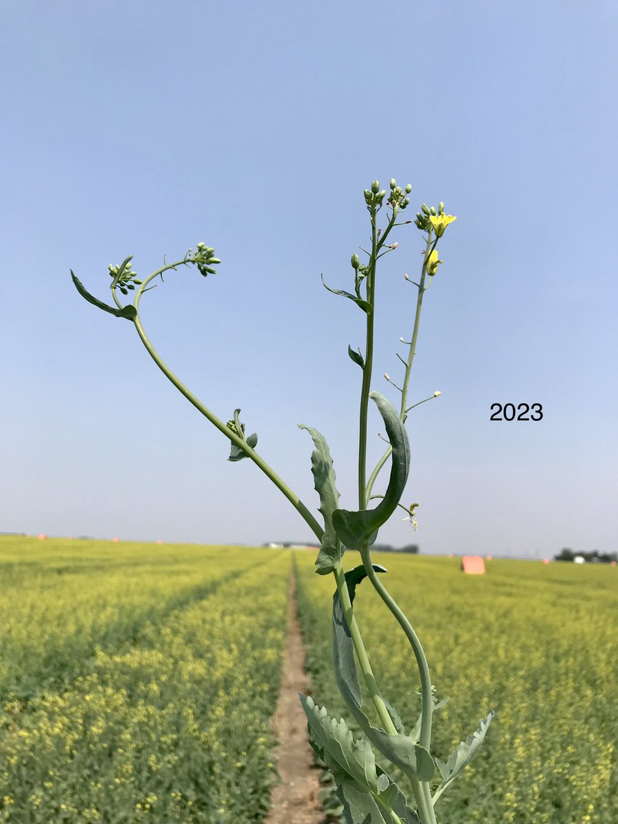 Jack Payne tweet media