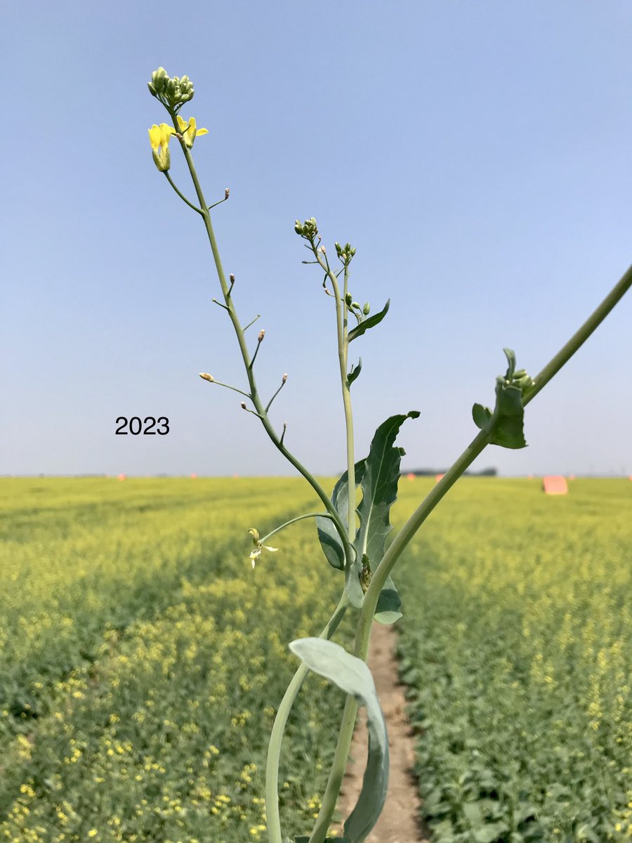 Jack Payne tweet media