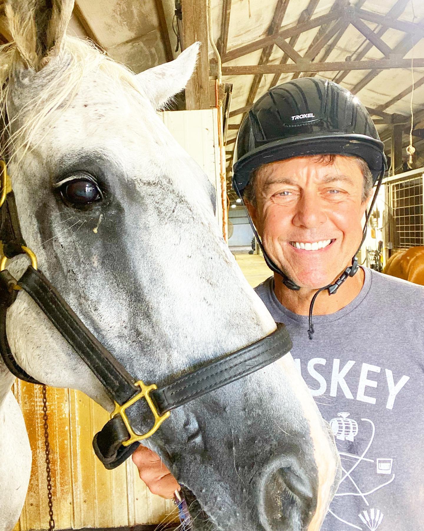 George Mallet on Twitter: "We horse-obsessed types are often convinced