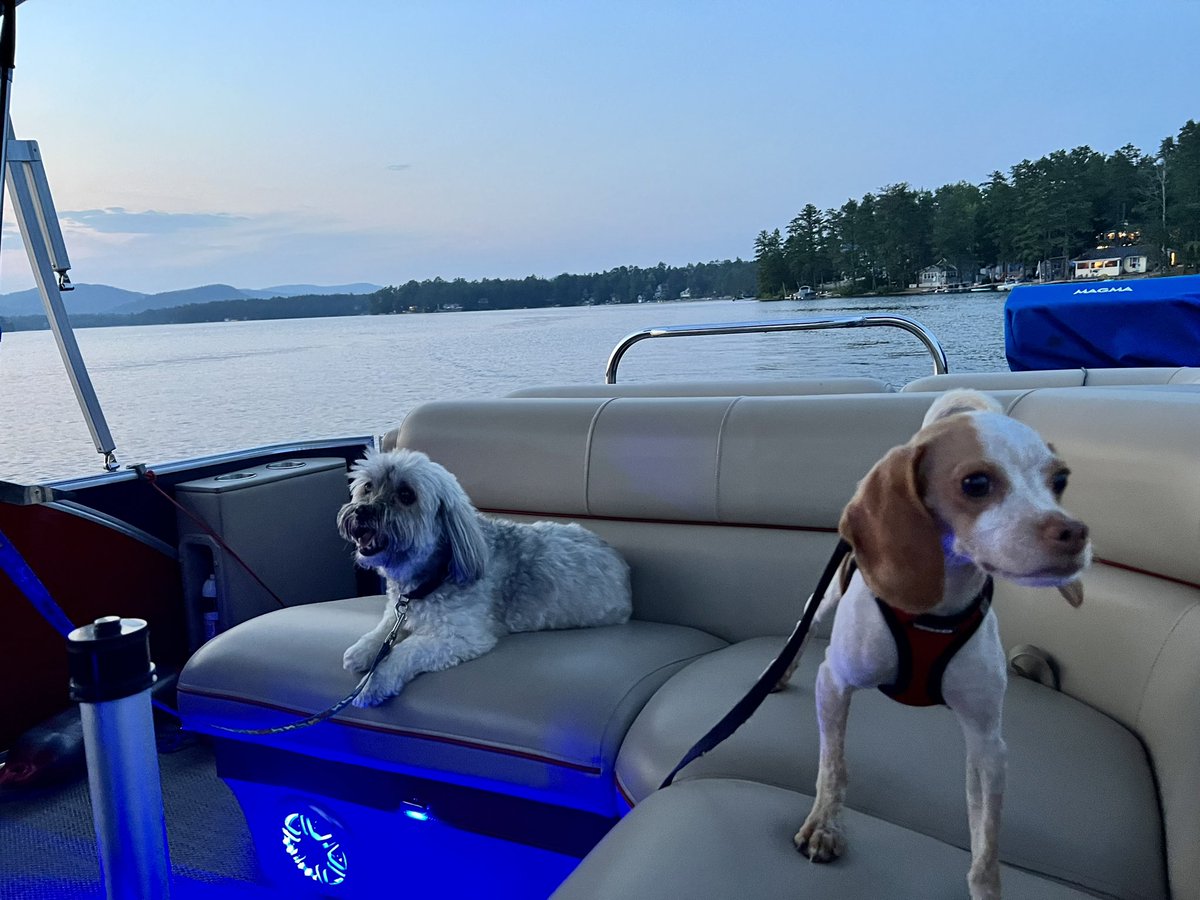 Went for a sunset boat ride with my friend Parker tonight! #heckcancer #livingmybestlife #pocketbeagle #lemonbeagle #beagle #dogsoftwitter