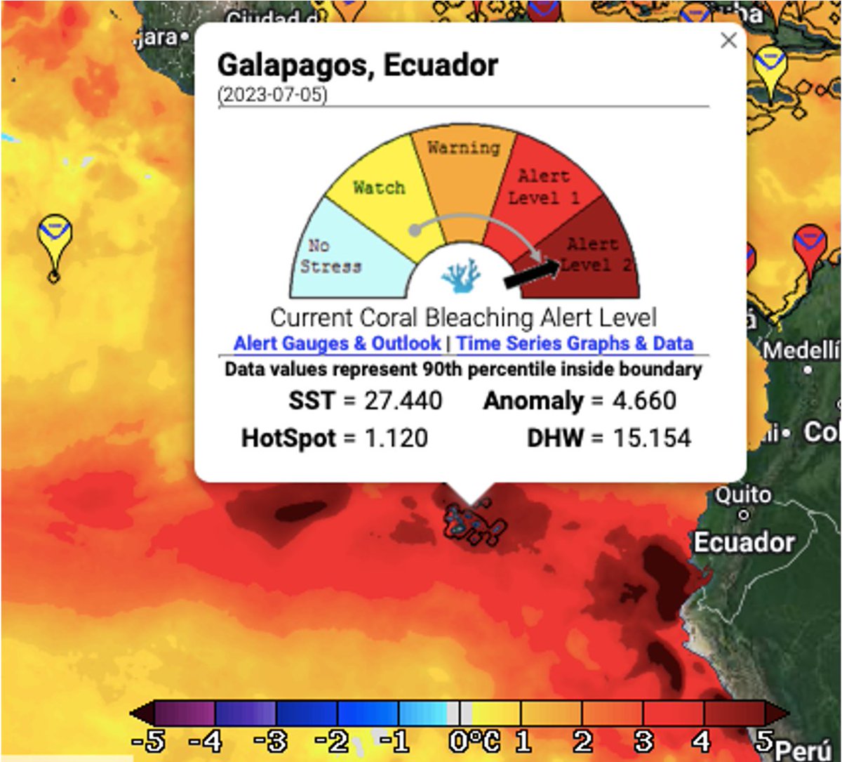 Patricio Tamariz tweet media