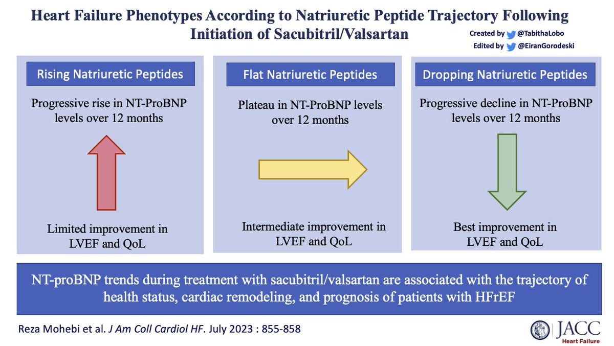 New in #JACCHF: Is there clinical value in trending NT-proBNP levels after initiation of ARNI in HFrEF? 
Read about it: tinyurl.com/jacchf07 
#JACC #HeartFailure #CardioTwitter #CardioEd #JACCHF <a href="/JACCJournals/">JACC Journals</a>