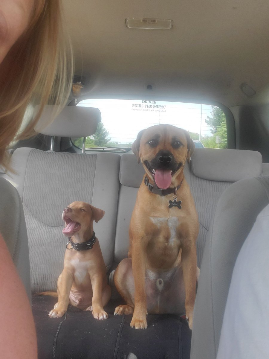 d_morr1213's tweet image. @Target run &amp;amp; done with Sammy &amp;amp; Dean
#Target #targetrunanddone #spn @cw_spn #supernatural #samanddean