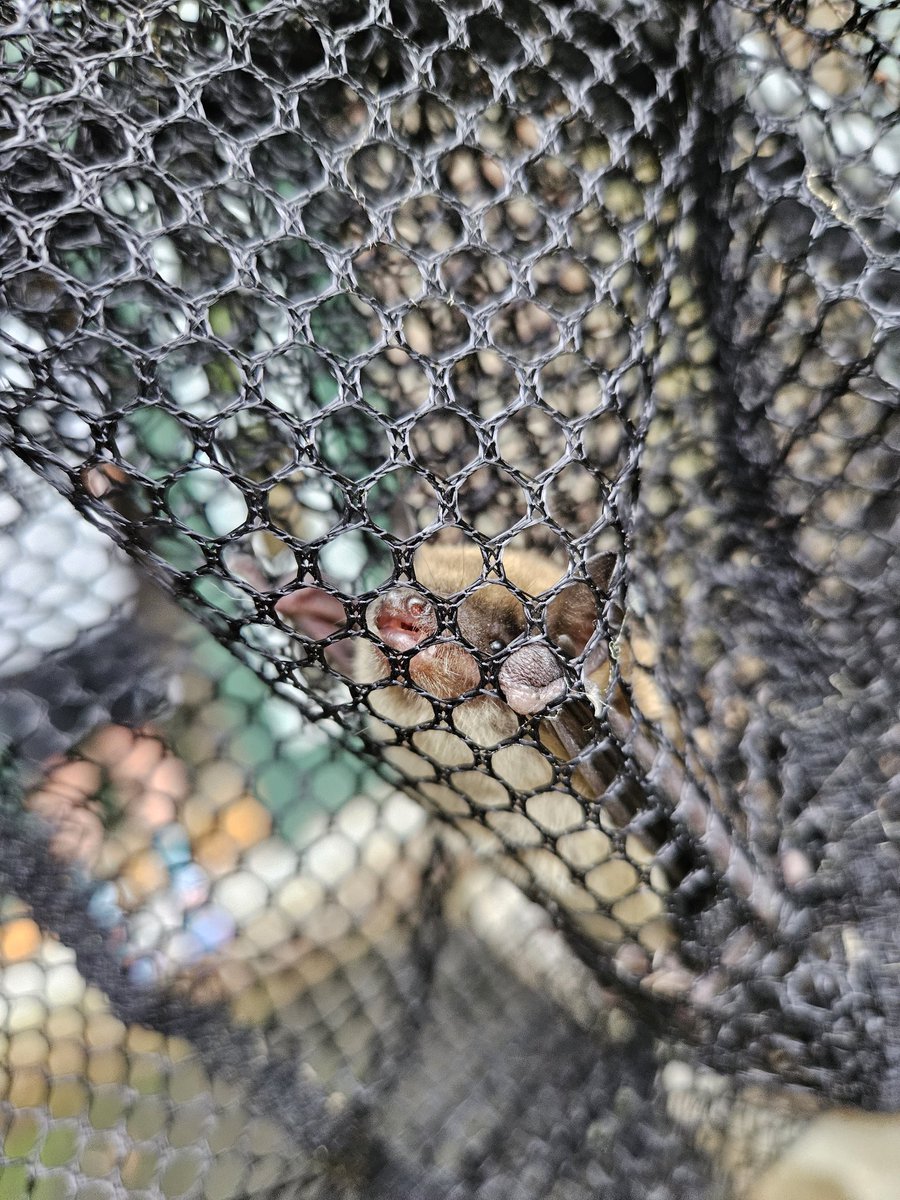 David Jones tweet media