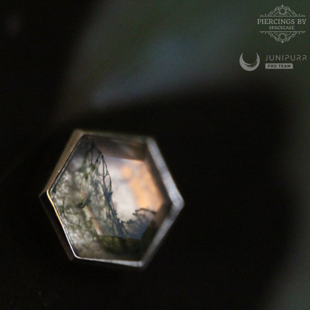 spacecase__'s tweet image. The plant vibes with this one are immaculate