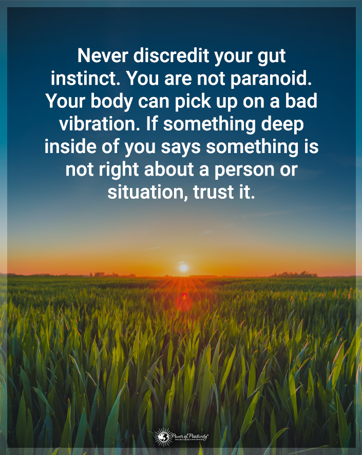 TrainingMindful's tweet photo. “Never discredit your gut instinct..." https://t.co/s2fn2DA1wP