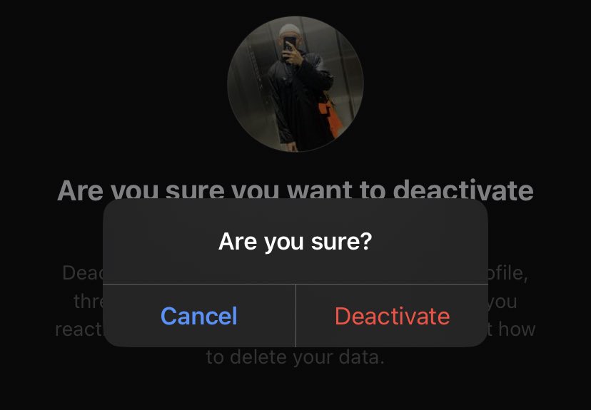 fr e sh a voca do tweet media