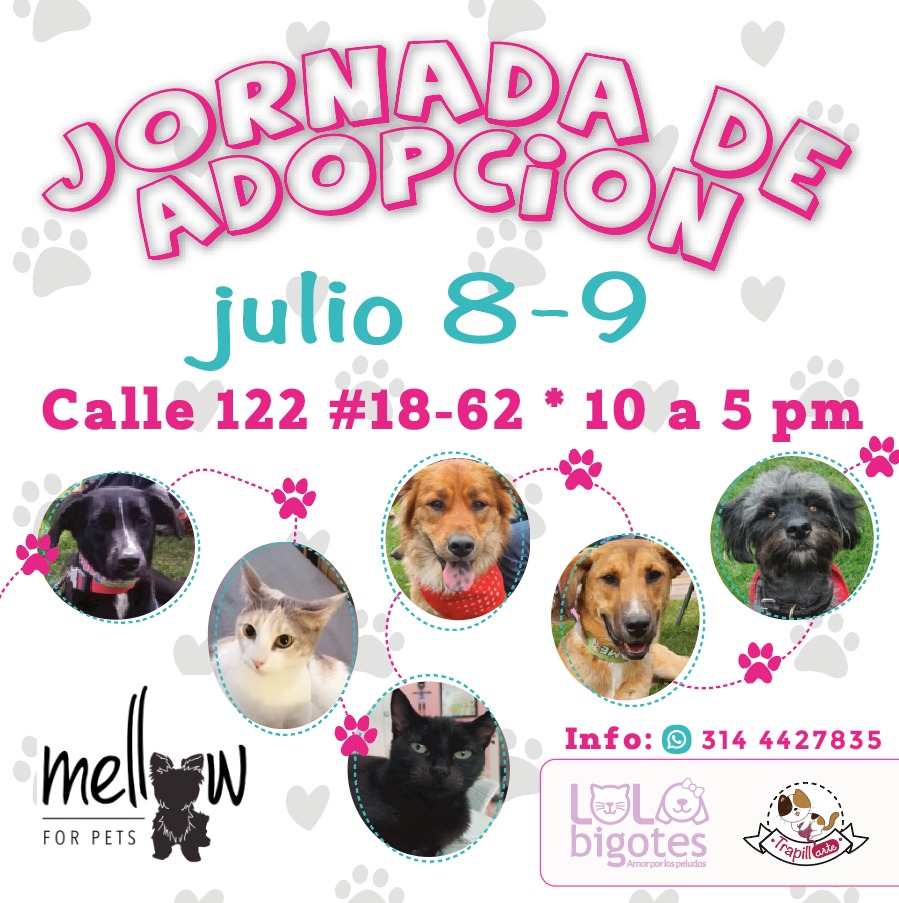 LINANDREABC's tweet image. 