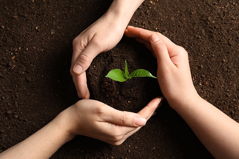 redmeatcouncil's tweet photo. The study also shows we have an #internationally #enviable #environmental #sustainability #record.

It's great news for us and goes a long way to support what we already know!

👀 all about it 👉👉👉 https://t.co/9GdZ8pHXID https://t.co/rNpZtcpb7U