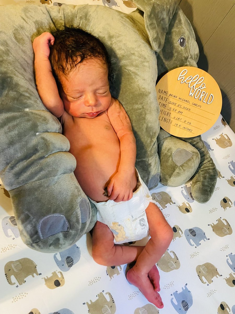 the_cyberqueen's tweet photo. 1st week of life❤️ https://t.co/R5oSudwN3Y