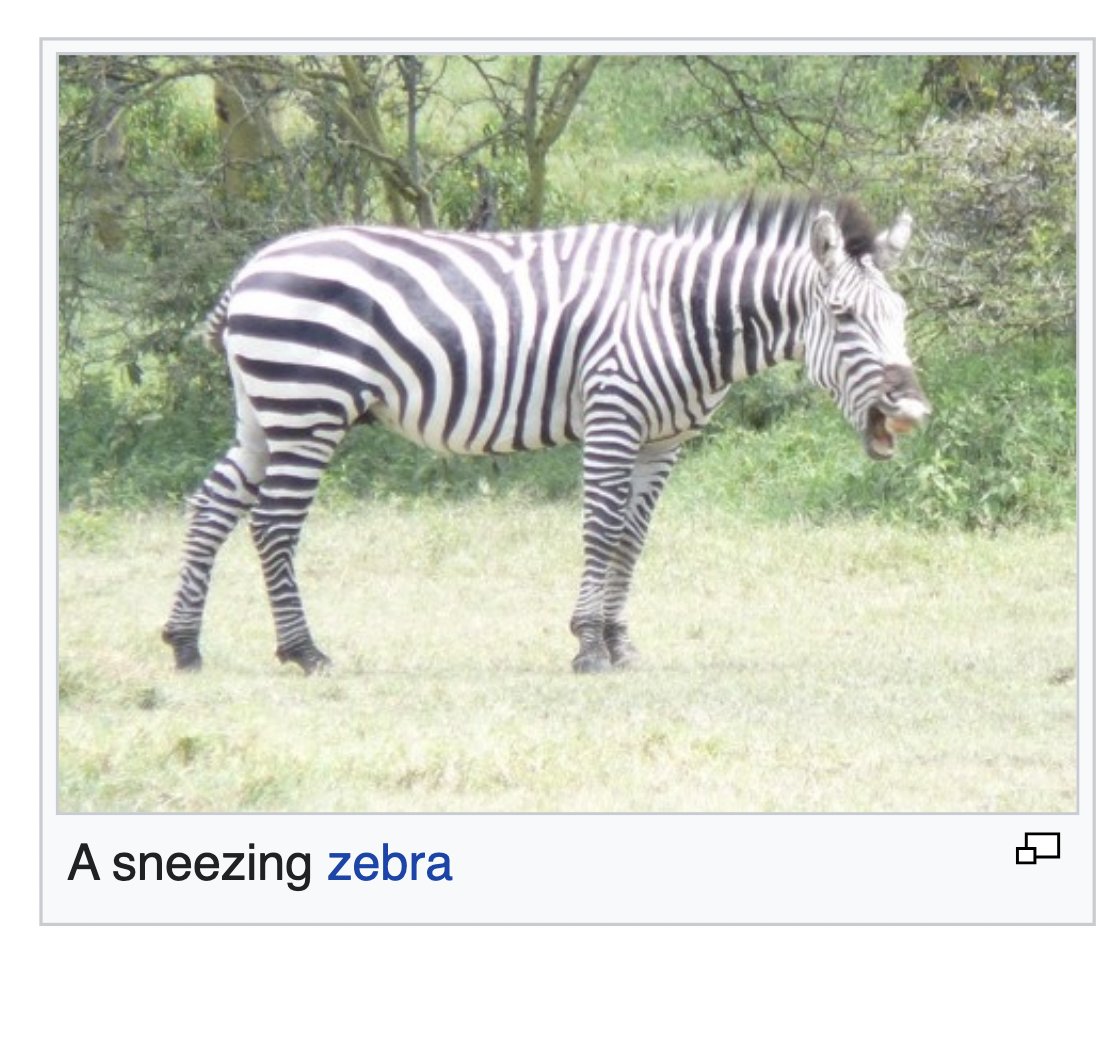 depths of wikipedia! tweet media