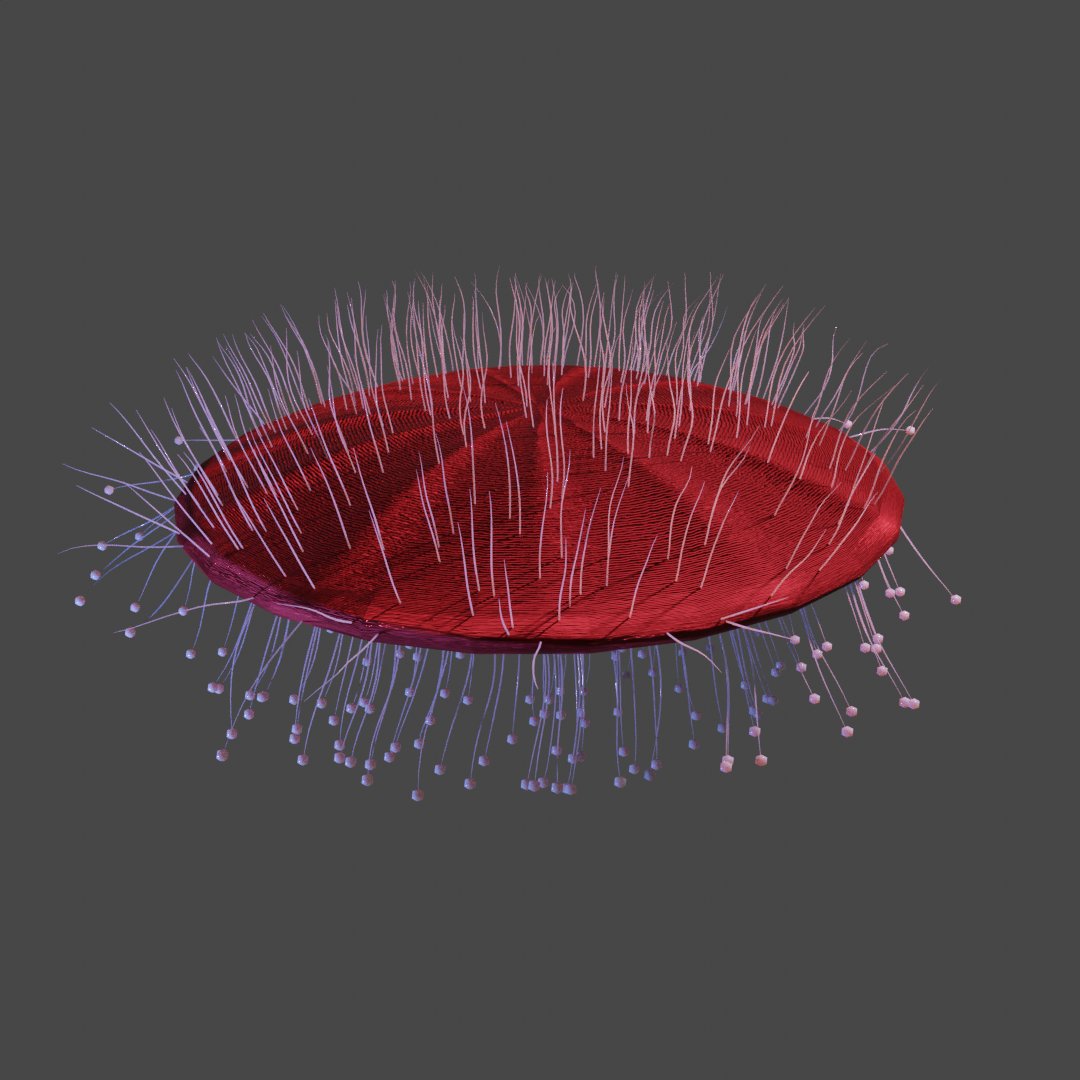 Visual Mind Game (@visualmindgame) / Posts / X