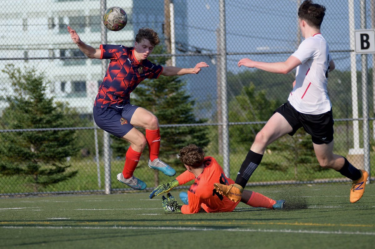 DW Photo tweet media