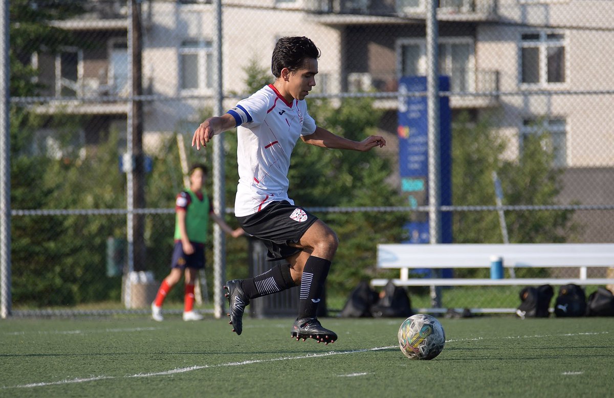 DW Photo tweet media