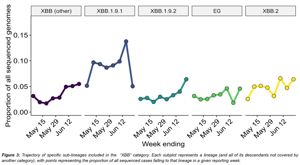 New #COVID update in Aotearoa New Zealand 👉XBB variants dominate (58% of sequenced cases) 👉XBB.1.5 decreases to 5% 👉XBB.1.16 holds at 20% 👉Other XBB variants at 32% 👉Age bias is seen in #COVID19 genome sequencing 👉XBB.1.9 lineages are common See more esr.cri.nz/our-expertise/…