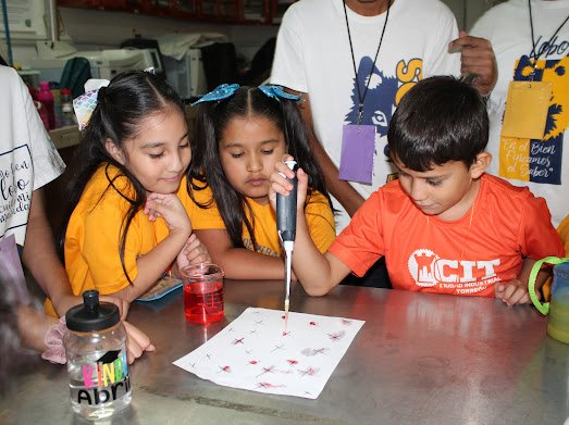 bnagas's tweet photo. El día 4 del #Curso_de_Verano_Ciencia_Divertida_2023. #Electroforesis_ADN #Dibujar_pintar. #FacCBiológicas, #Mib_biológicas #LabBiorem @CoordinacionUT @UAdeC @MuseoMetales @coecytcoahuila @coecytrl1 @Conahcyt_Mex https://t.co/9O8nyPEMdM