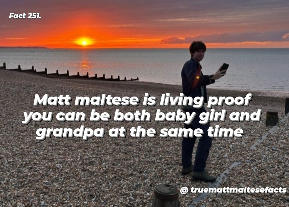 TrueMattMalteseFacts tweet media