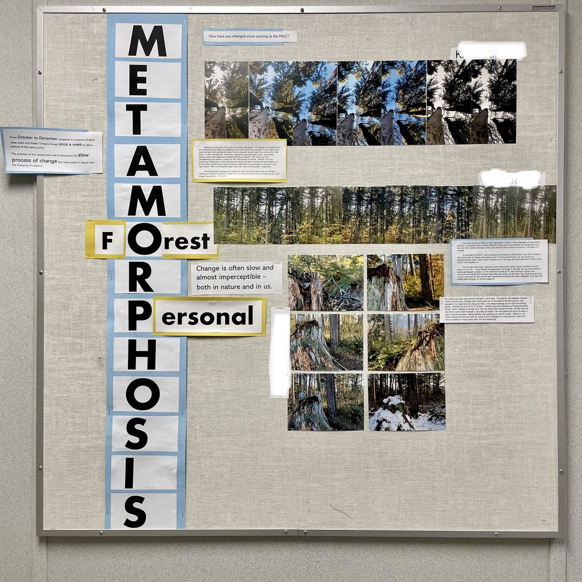 jonathan rempel tweet media