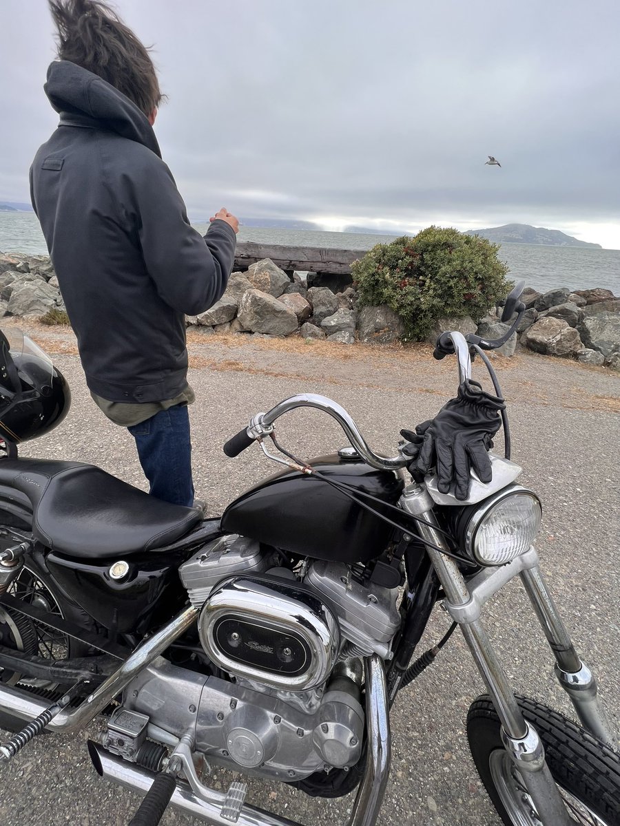 coolperolike's tweet photo. i just rode on the back of a custom harley sportster to treasure island and back holy fuck that was fun https://t.co/Hl7gYMHgmE