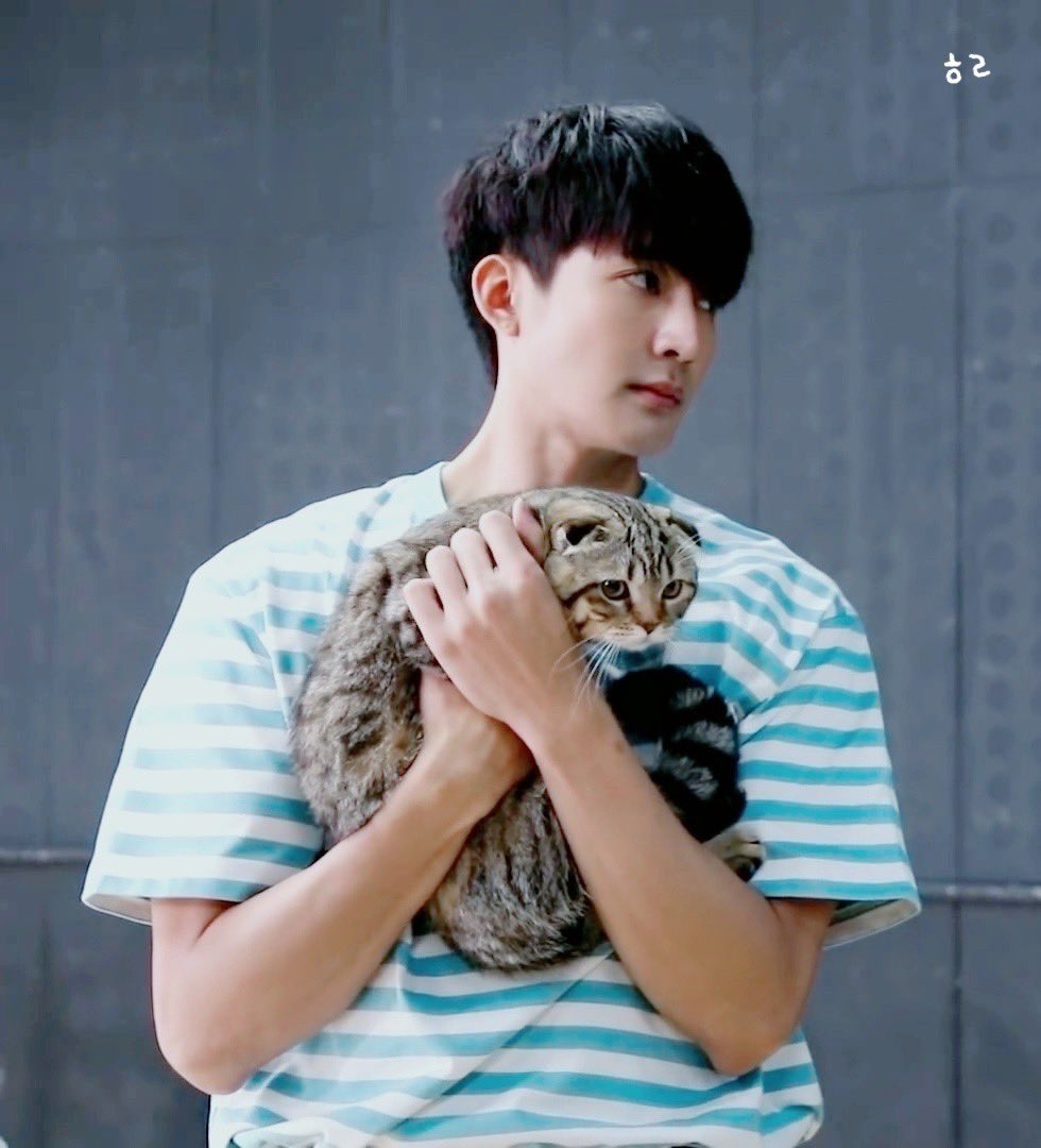 mongguri_3219's tweet image. 에딘이랑 어스 아빠 🥰 
보기만 해도 마음이 편해져 

#EarthPirapat #แก๊งแมวอังกฤษแต่บ้านอยู่บางนา