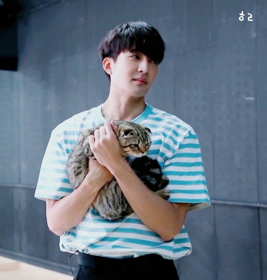 mongguri_3219's tweet image. 에딘이랑 어스 아빠 🥰 
보기만 해도 마음이 편해져 

#EarthPirapat #แก๊งแมวอังกฤษแต่บ้านอยู่บางนา