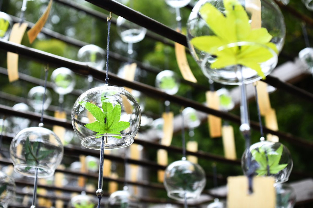 BabyBoo63523692's tweet photo. #正寿院 #京都 #crystalball #猪目 #猪目窓 #カメラ好きな人と繋がりたい #ファインダー越しの私の世界 #nikon #nikond7200 #ニコン #ニコンd7200 #風鈴 https://t.co/SrqNW29h8x