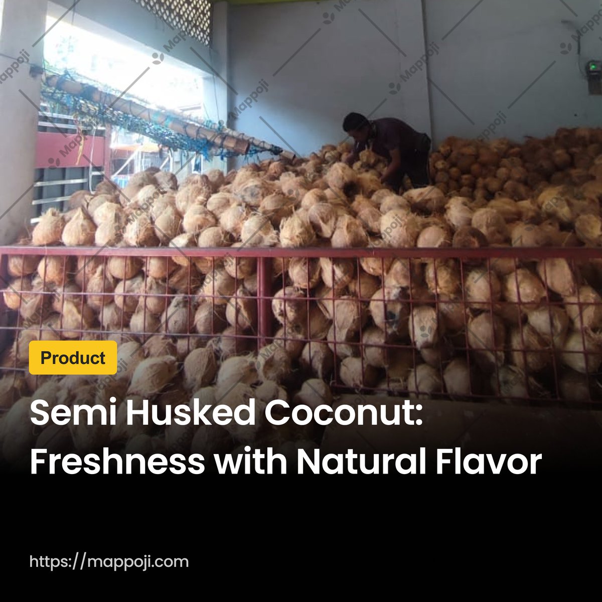 mappoji_id's tweet photo. Get a special offer for your first order! Contact us at contact@mappoji.com or +6281398091318 (WhatsApp)

Order now https://t.co/HwY5tiTBWw

#mappoji #semihuskedcoconut #coconut #coconutproducts #coconutproductindonesia #coconutexporter #indonesiacoconutsupplier #indonesiacoconut https://t.co/3lGJBYeG1T