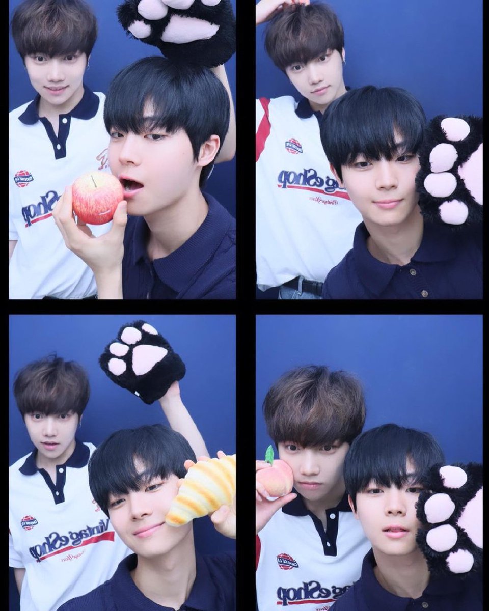 junghojinbr's tweet photo. 📸🎥 | Atualização nas contas de Hojin e Jeong Ichan no Instagram:

"[j_hoj1n] 🍎🍑🥐🐱

[j.echan] 🍑🍰🐾🥐"

#JUNGHOJIN #정호진 #HOJIN #호진 https://t.co/8z5j8tiXd1