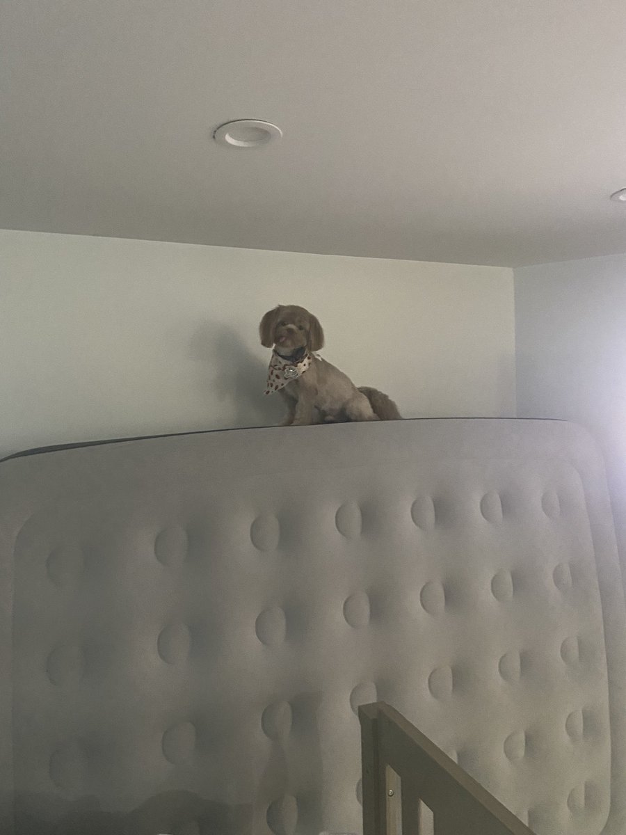 Noel les manda un saludo desde las alturas jajaj