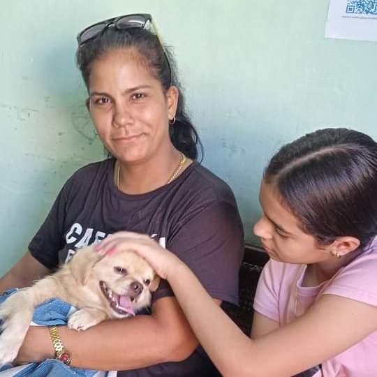 ProSalud Camagüey tweet media